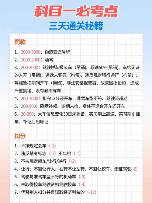 市区出行要系安全带吗吗/市区开车需要安全座椅吗