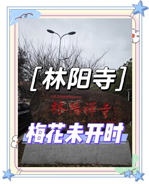 福州中秋能出行吗现在-中秋节福建可以出省吗-第8张图片