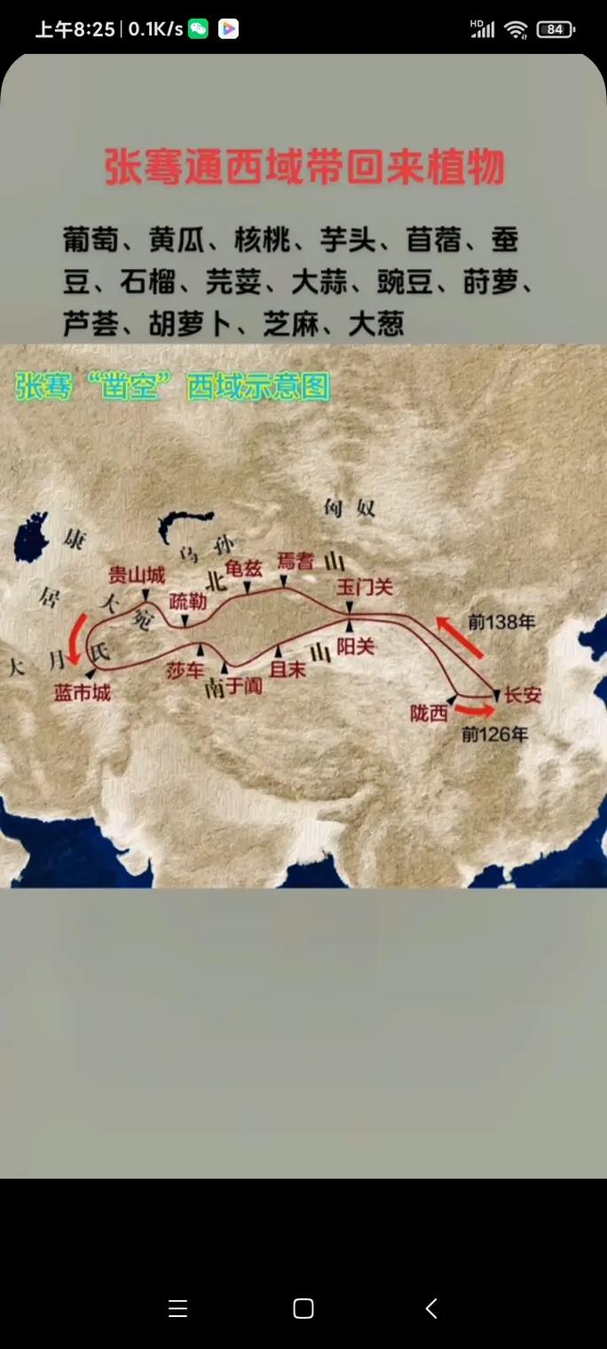 西汉张骞出行的方式是什么/汉张骞出使西域-第2张图片 西汉张骞出行的方式是什么/汉张骞出使西域-第2张图片