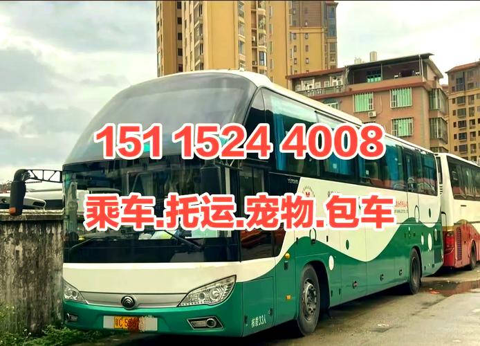 【缙云跟永康还能出行吗/永康和缙云哪个经济更好】-第6张图片 【缙云跟永康还能出行吗/永康和缙云哪个经济更好】-第6张图片