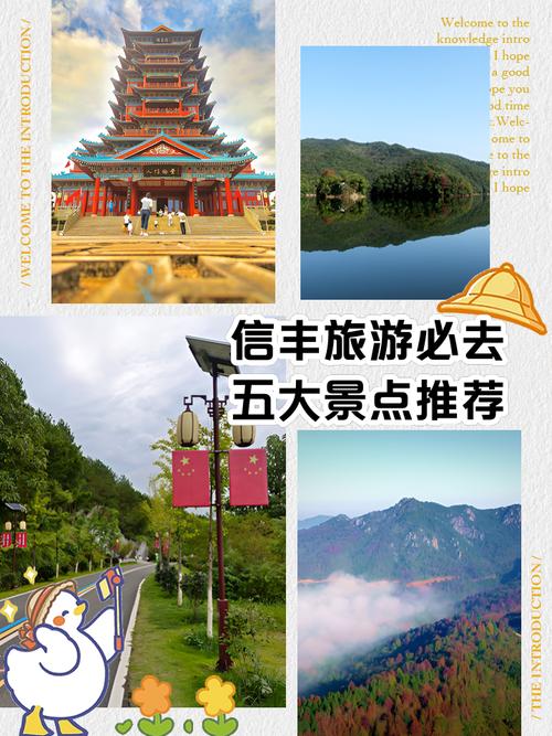飞租出行在信丰哪年营运/飞租出行20元红包