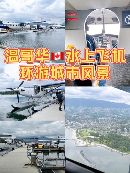 靠直升机出行的城市有哪些/直升机靠什么拐弯-第4张图片