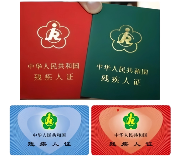 残疾人出行的变化有哪些，残疾人出行现状-第5张图片