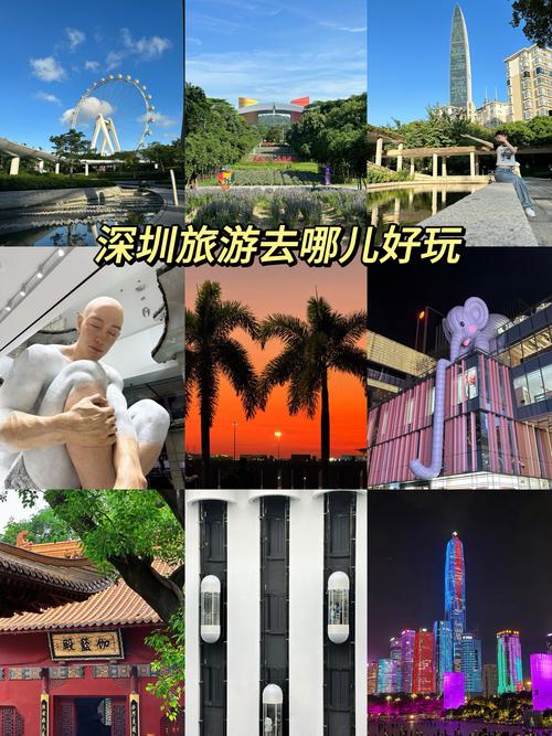 【泉州到深圳出行要求什么/泉州到深圳需要隔离吗?】-第8张图片 【泉州到深圳出行要求什么/泉州到深圳需要隔离吗?】-第8张图片