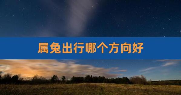 【生肖兔什么时候出行好一点/属兔什么时间出生的人命好】-第5张图片