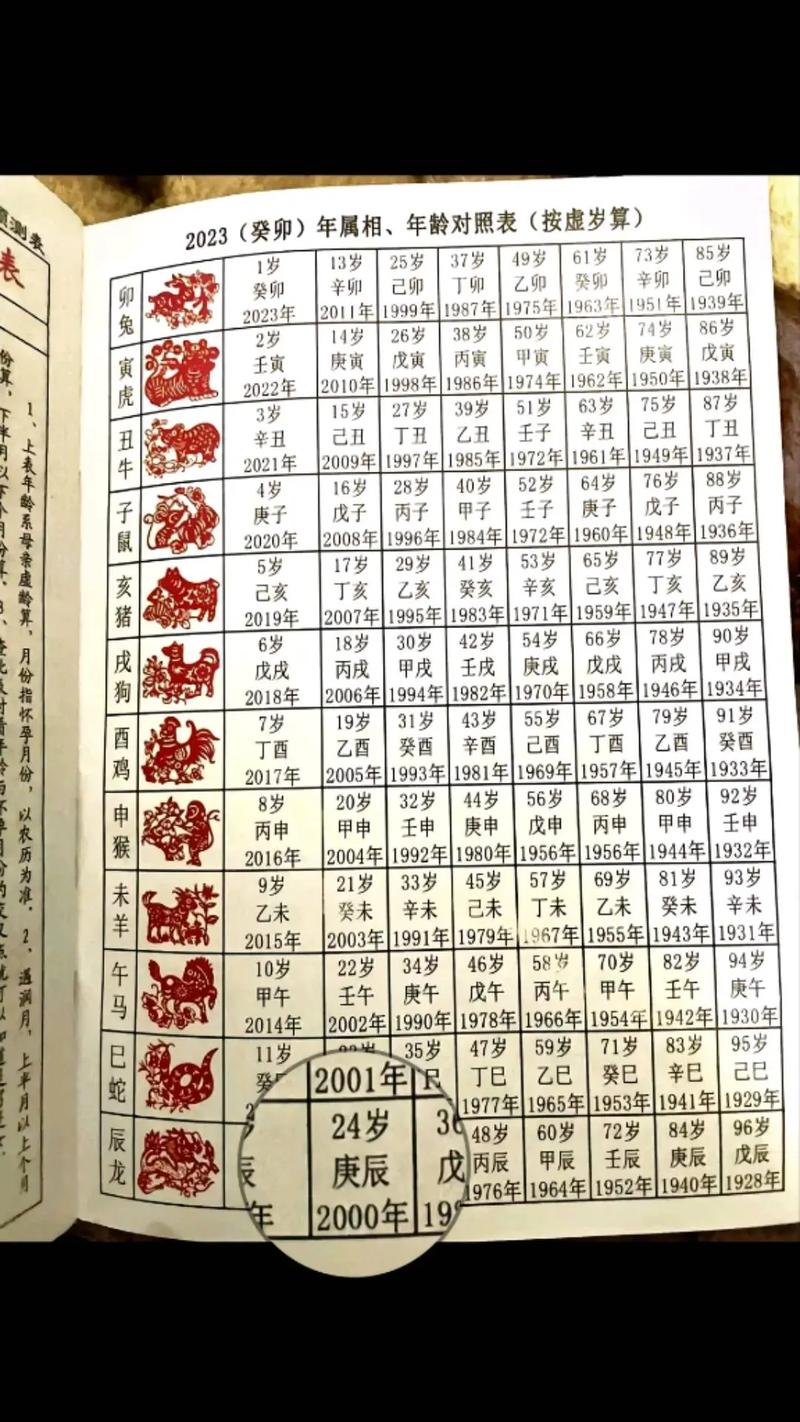 【生肖兔什么时候出行好一点/属兔什么时间出生的人命好】-第7张图片