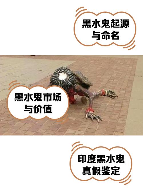 印度粉水鬼