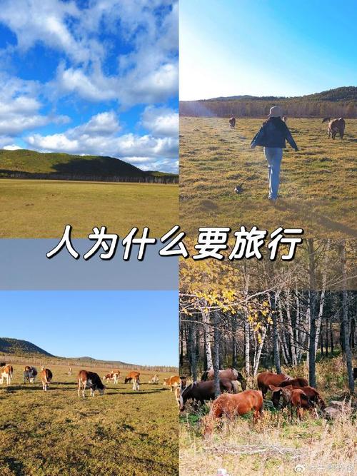 【出行总是那么愉快/出行总是那么愉快的说说】-第3张图片