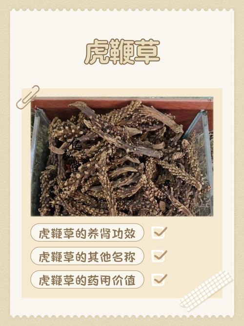 印度绿水鬼双效怎么样-第1张图片
