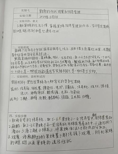 印度红魔双效片效果-第5张图片