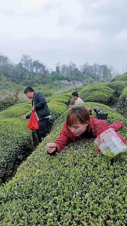 重庆农村姑娘出行怎么样/重庆农村视频-第7张图片