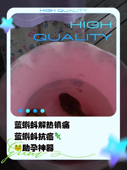印度蓝蝌蚪吃了有什么副作用吗