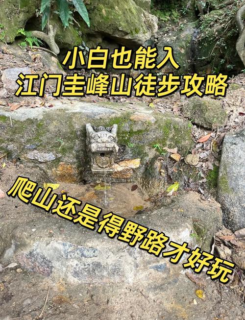 江门一日游出行安全吗/江门一日游最佳路线图-第2张图片