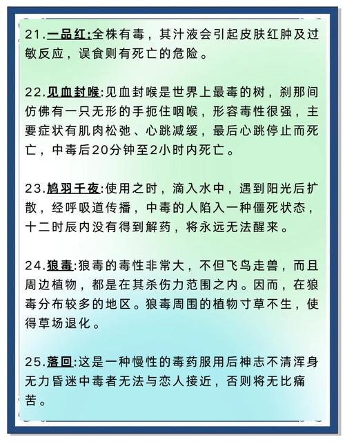 印度绿水鬼药效-第1张图片 印度绿水鬼药效-第1张图片