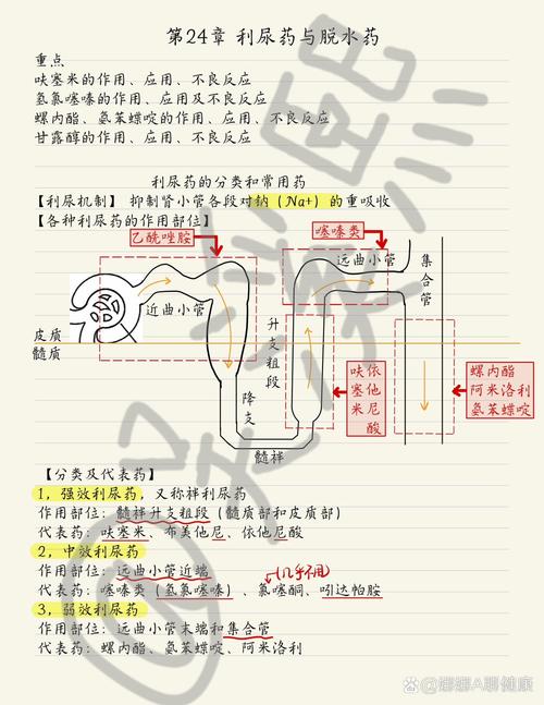 印度红魔双效片一次吃多少-第6张图片 印度红魔双效片一次吃多少-第6张图片