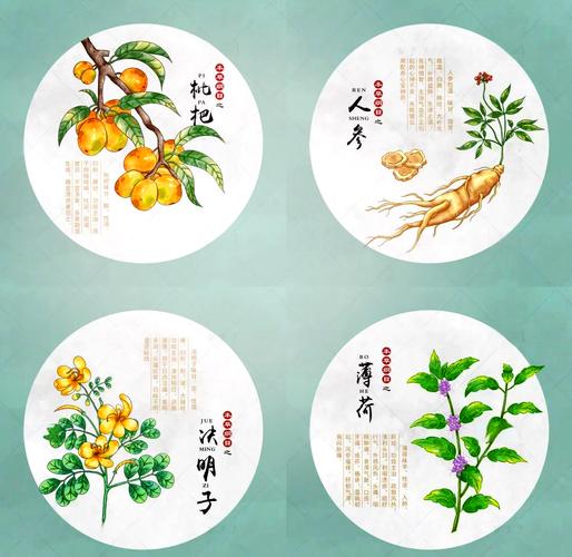 印度绿水鬼成分-第1张图片 印度绿水鬼成分-第1张图片