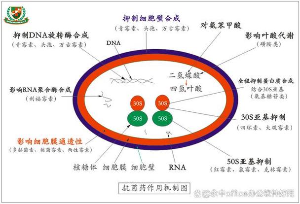 热销中的印度超级双效希爱力，价格速览(十粒装仅约160元)-第2张图片