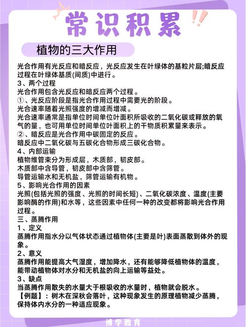 印度粉水鬼效果怎么样	笔记	