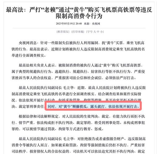被执行人出行限制什么，被执行人出行限制什么意思