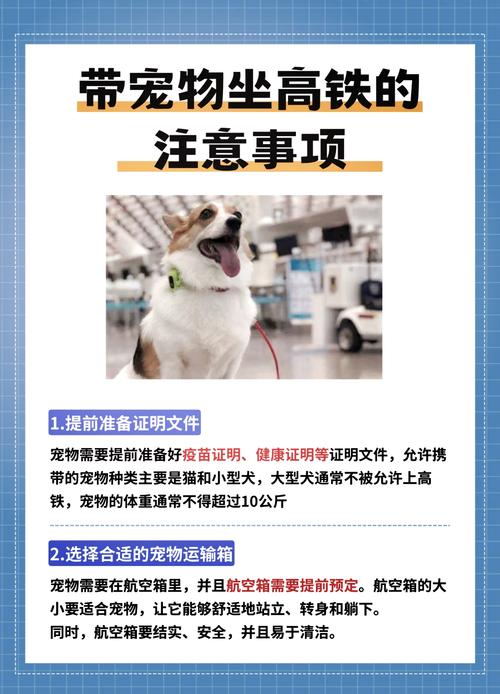 可以带猫一起出行吗英文,可以带猫一起出行吗英文翻译-第8张图片 可以带猫一起出行吗英文,可以带猫一起出行吗英文翻译-第8张图片
