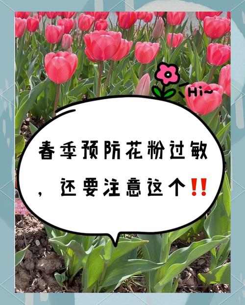 哪种天气适合过敏者出行，过敏性体质哪个季节容易过敏?-第8张图片