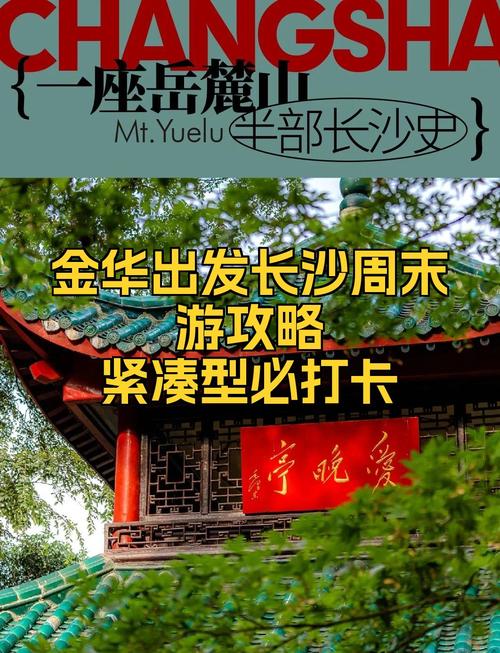 关于金华市带星号影响出行吗的信息-第2张图片