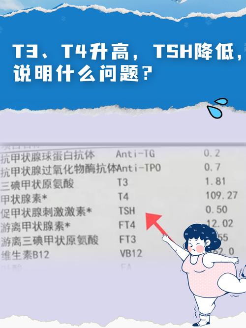 妥妥出行为什么单量少了-妥妥出行单量怎么样-第3张图片 妥妥出行为什么单量少了-妥妥出行单量怎么样-第3张图片