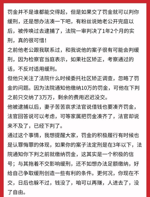 关于“罚金没交影响出行吗”你不知道的事-第2张图片 关于“罚金没交影响出行吗”你不知道的事-第2张图片