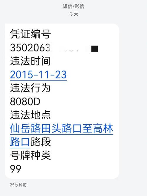 关于“罚金没交影响出行吗”你不知道的事-第10张图片 关于“罚金没交影响出行吗”你不知道的事-第10张图片