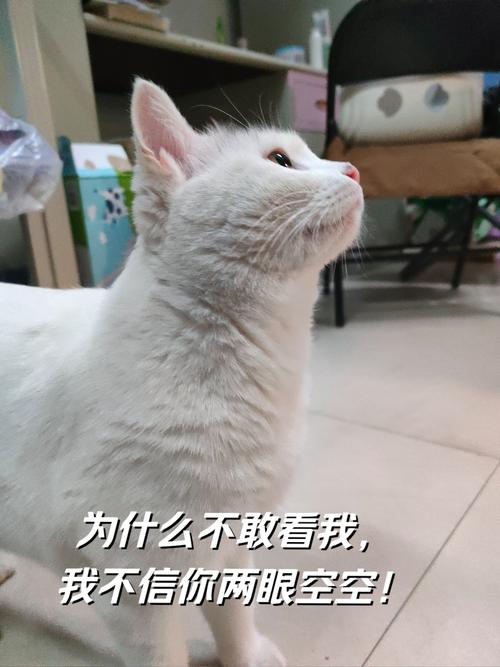 什么是出行焦虑症/出行焦虑症的表现-第2张图片 什么是出行焦虑症/出行焦虑症的表现-第2张图片