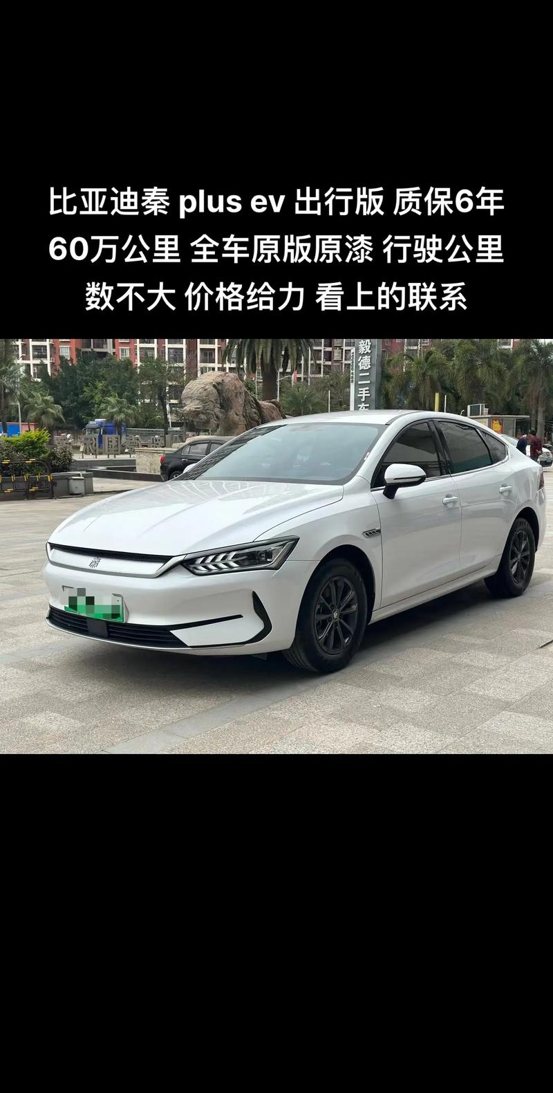 秦出行版为什么费用那么高/秦ev出行版-第3张图片 秦出行版为什么费用那么高/秦ev出行版-第3张图片