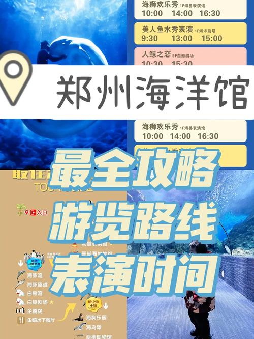 郑州怎么预约出行-郑州如何预约-第8张图片 郑州怎么预约出行-郑州如何预约-第8张图片