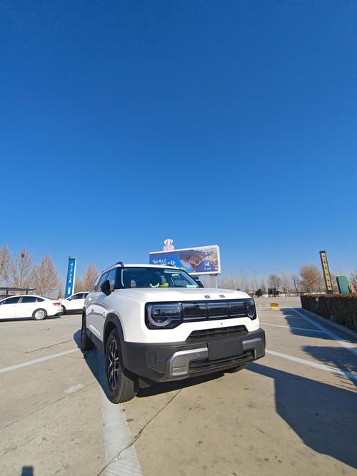 【房车出行带大狗可以吗/房车可以带多少人出行】-第4张图片 【房车出行带大狗可以吗/房车可以带多少人出行】-第4张图片