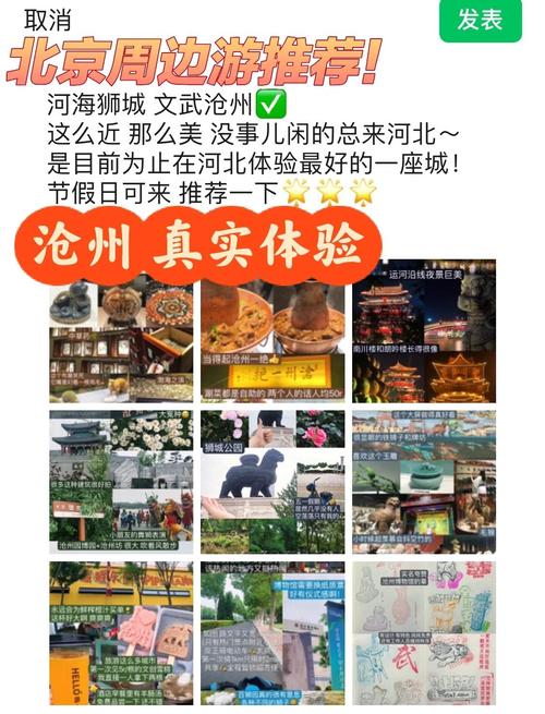 【沧州人可以出行吗最新/我是沧州人现在可以去北京吗】-第8张图片 【沧州人可以出行吗最新/我是沧州人现在可以去北京吗】-第8张图片