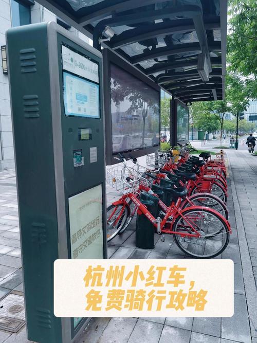 叮嗒出行怎么查看车站/叮嗒出行怎么看站点-第9张图片 叮嗒出行怎么查看车站/叮嗒出行怎么看站点-第9张图片