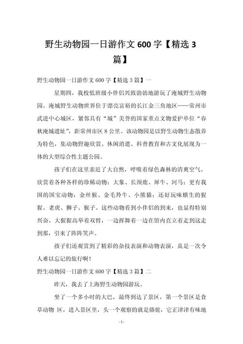 一家三口怎么坐摩托车出行-一家三口骑摩托车违法吗-第7张图片 一家三口怎么坐摩托车出行-一家三口骑摩托车违法吗-第7张图片