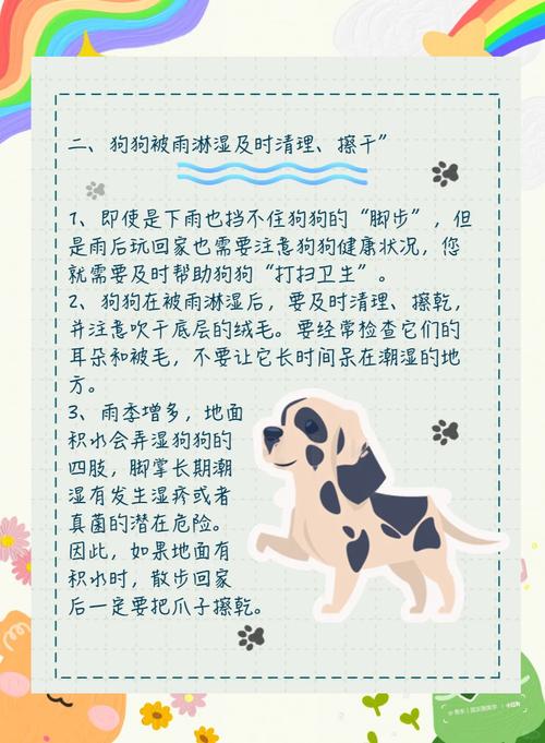 下雨天狗狗怎么出行安全-下雨天狗能不能出去