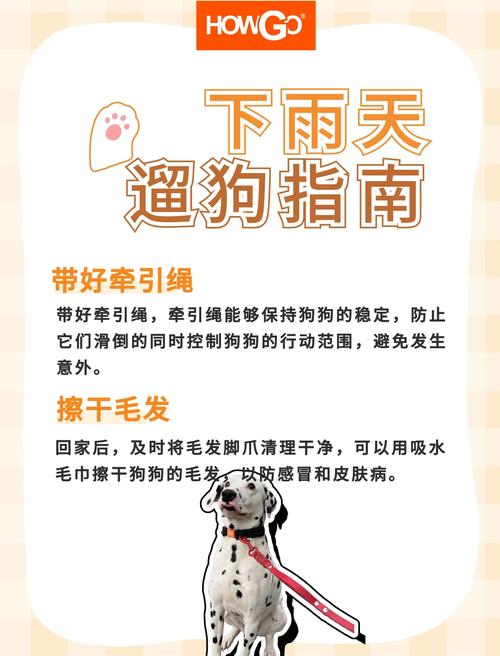下雨天狗狗怎么出行安全-下雨天狗能不能出去-第3张图片 下雨天狗狗怎么出行安全-下雨天狗能不能出去-第3张图片