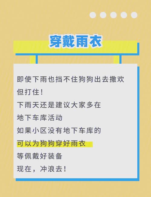 下雨天狗狗怎么出行安全-下雨天狗能不能出去-第4张图片 下雨天狗狗怎么出行安全-下雨天狗能不能出去-第4张图片