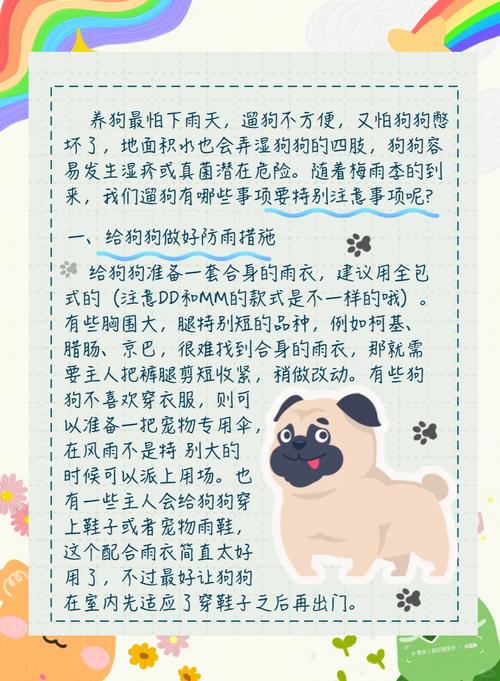 下雨天狗狗怎么出行安全-下雨天狗能不能出去-第6张图片 下雨天狗狗怎么出行安全-下雨天狗能不能出去-第6张图片