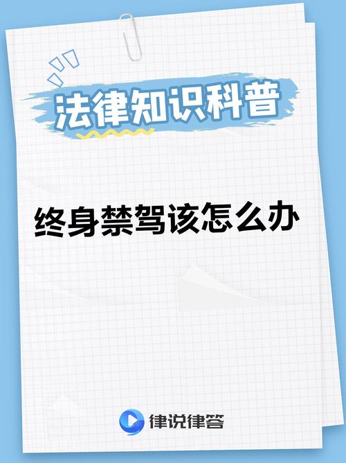 终身禁驾以后怎么出行了/终身禁驾后再开车怎么处理-第2张图片 终身禁驾以后怎么出行了/终身禁驾后再开车怎么处理-第2张图片