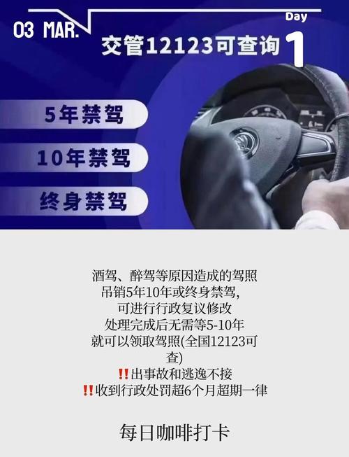 终身禁驾以后怎么出行了/终身禁驾后再开车怎么处理-第6张图片 终身禁驾以后怎么出行了/终身禁驾后再开车怎么处理-第6张图片