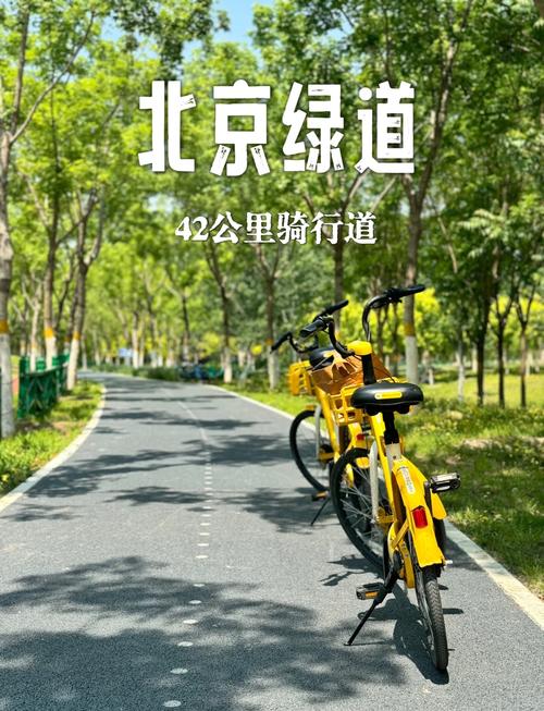 北京自行车出行环境怎么样,北京的自行车-第5张图片 北京自行车出行环境怎么样,北京的自行车-第5张图片