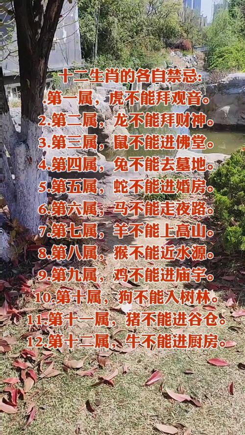 关于“什么生肖不宜出行”你不知道的事-第3张图片 关于“什么生肖不宜出行”你不知道的事-第3张图片