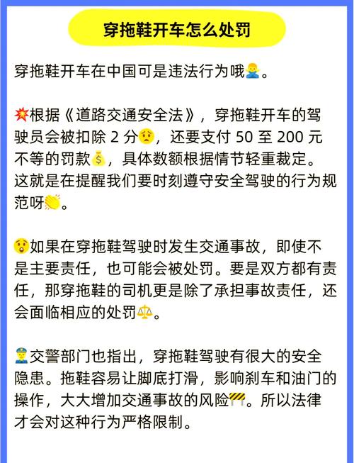 有外出行为怎么处罚驾驶员/驾车外出要注意什么-第5张图片 有外出行为怎么处罚驾驶员/驾车外出要注意什么-第5张图片