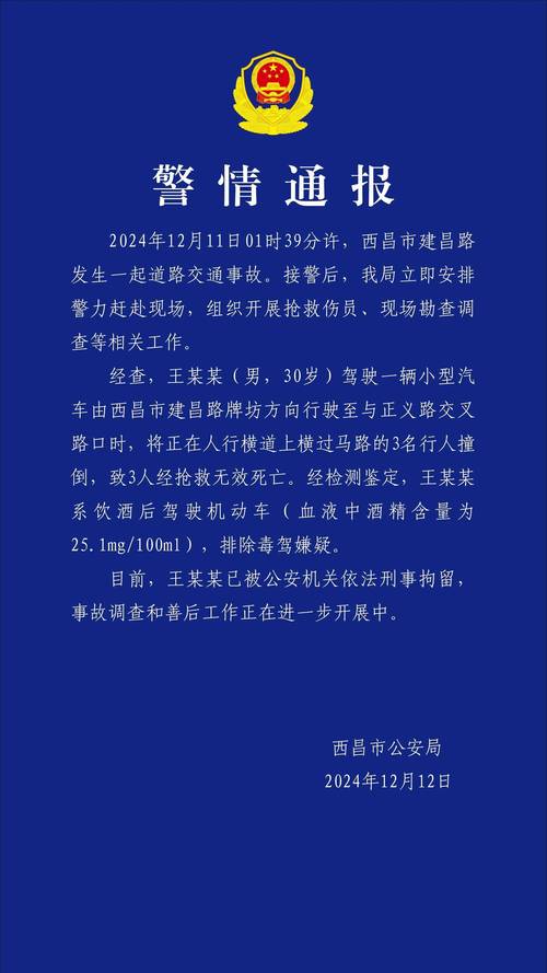有外出行为怎么处罚驾驶员/驾车外出要注意什么-第7张图片 有外出行为怎么处罚驾驶员/驾车外出要注意什么-第7张图片