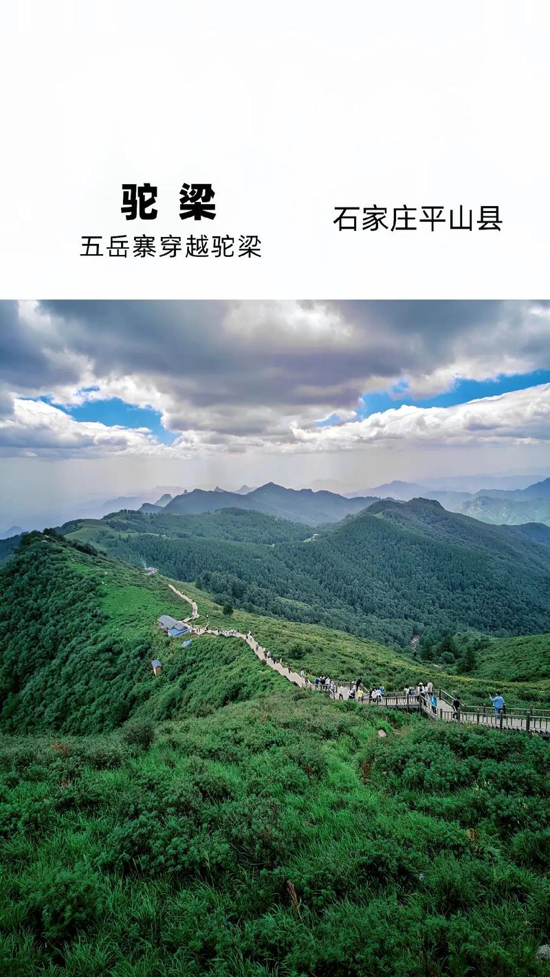 石家庄五一出行要求什么，石家庄五一新规
