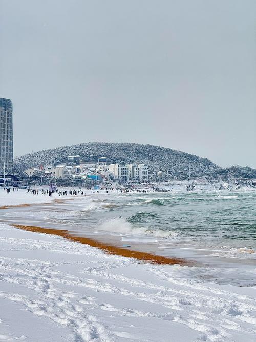 下雪威海怎么出行,威海下雪了吗2020-第5张图片 下雪威海怎么出行,威海下雪了吗2020-第5张图片