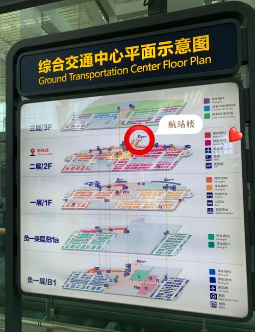 青岛出行怎么停车/青岛出行怎么停车免费-第2张图片
