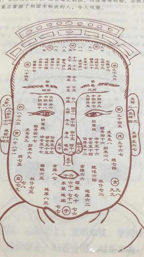 不利出行的面相有哪些/不利出行是什么意思-第3张图片 不利出行的面相有哪些/不利出行是什么意思-第3张图片